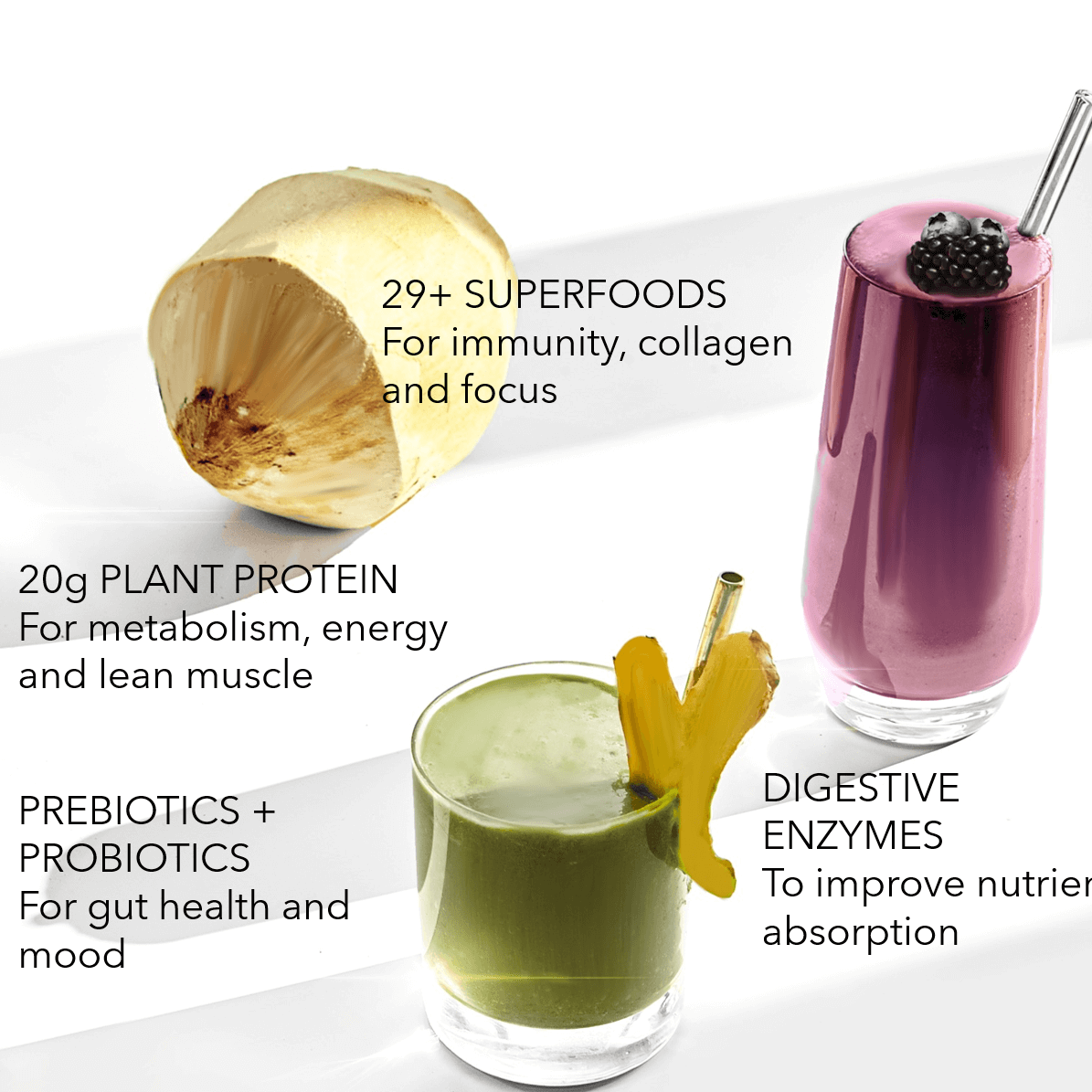 Plant Protein + Superfood Smoothie Mix sample box with organic ingredients, probiotics, prebiotics, and digestive enzymes for immunity, metabolism, energy, and gut health
