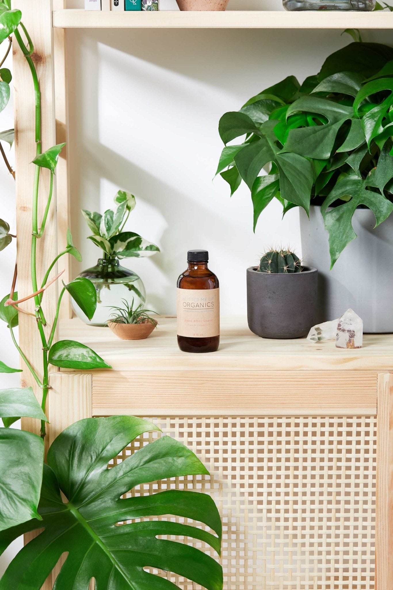 Natural Aged After Shave / Cologne Organic Bay Woodsy / Men’s Natural Organic After Shave - The Edible Petale Company