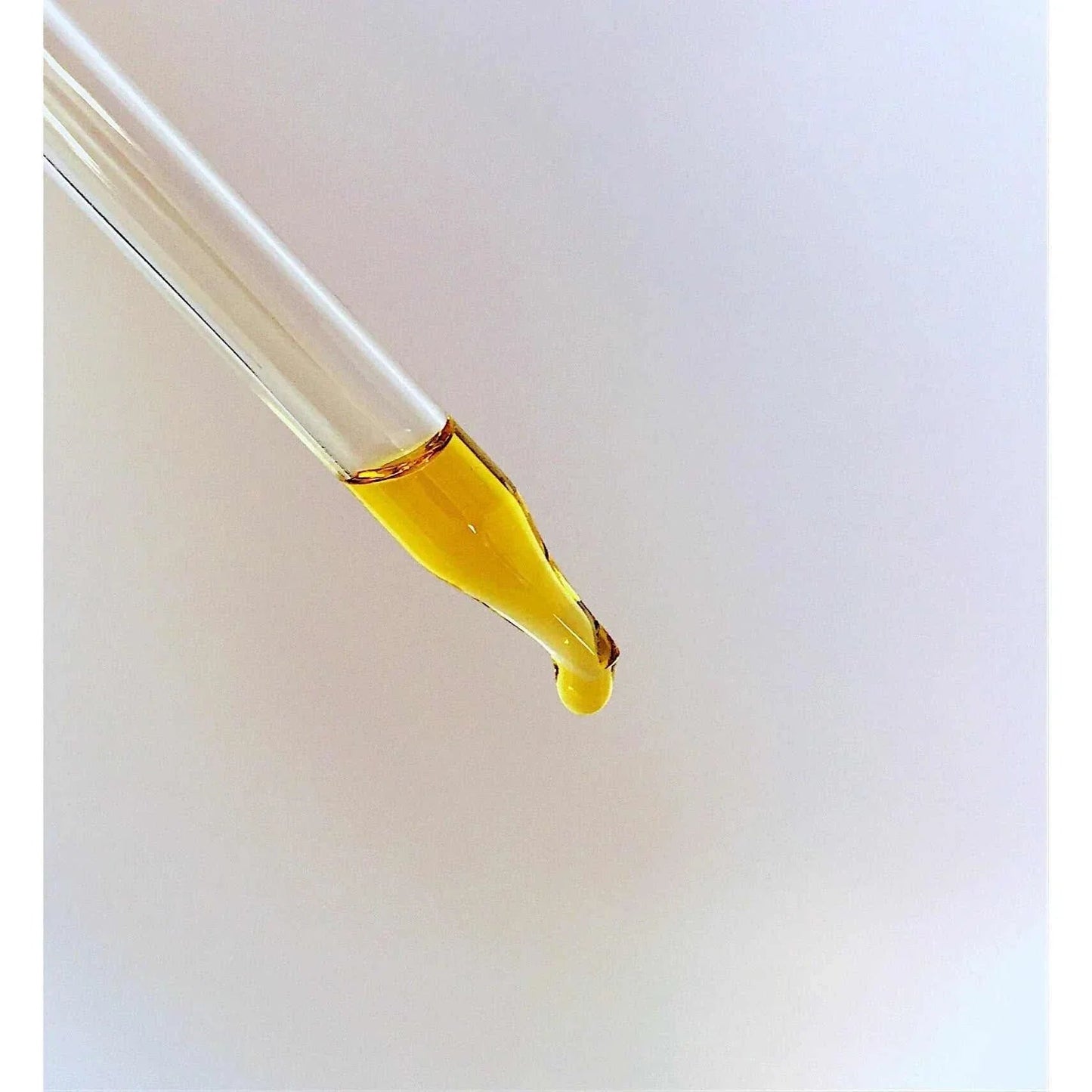 Organic Face & Eye Serum / Organic Facial Oil / Anti - Aging Serum / Organic Facial Serum / Natural Face Oil Butter Me Up Organics / - The Edible Petale Company