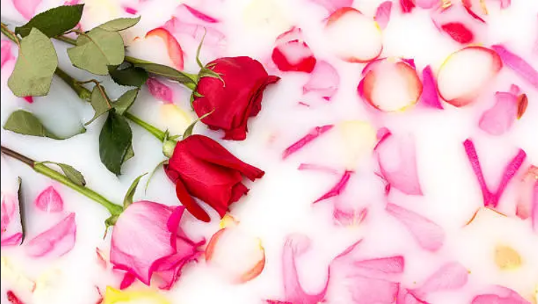 The Edible Pétale "Best of Everything" Bundle