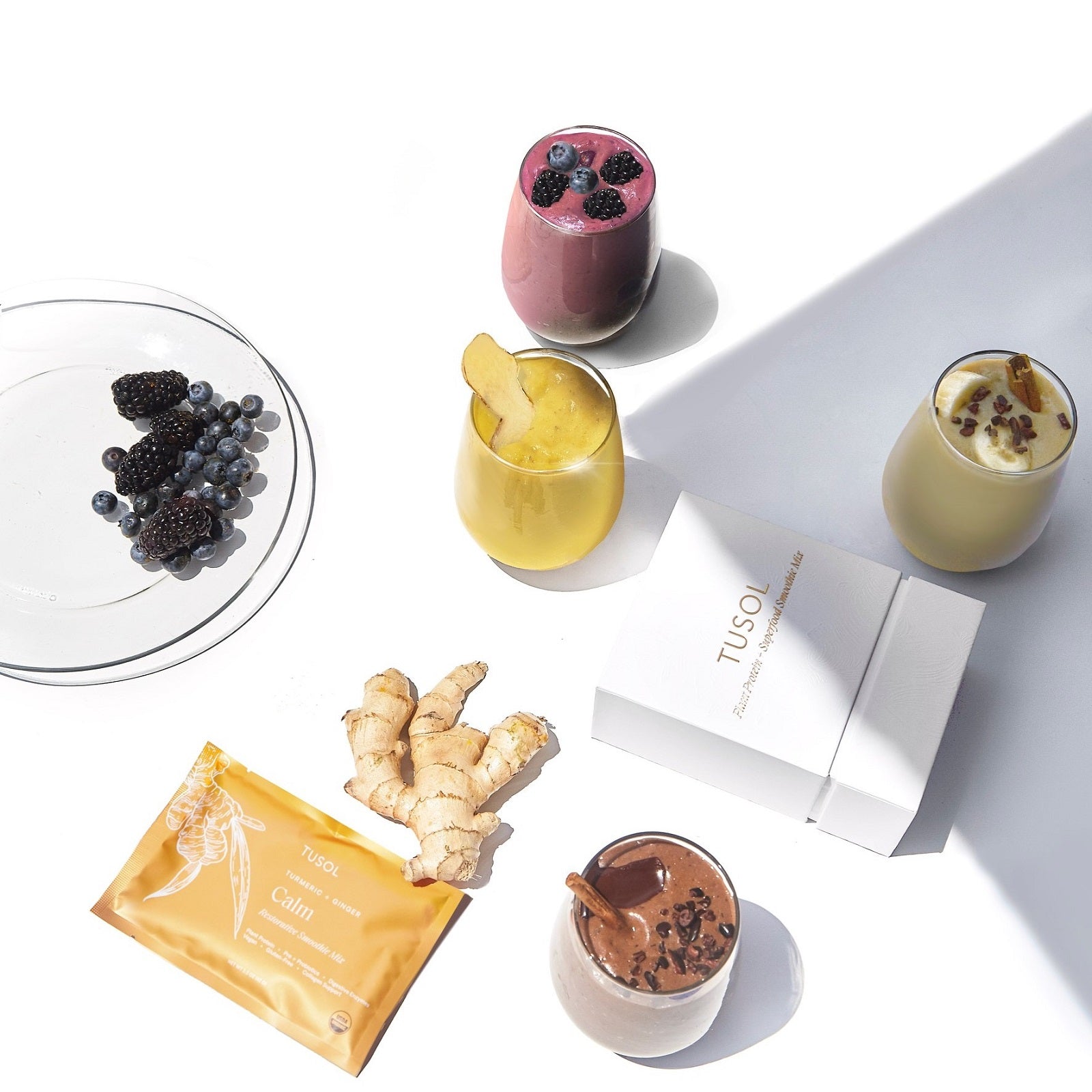 TUSOL Wellness Essentials Starter Kit with organic superfood smoothies, cacao latte, protein bars, and fresh ingredients