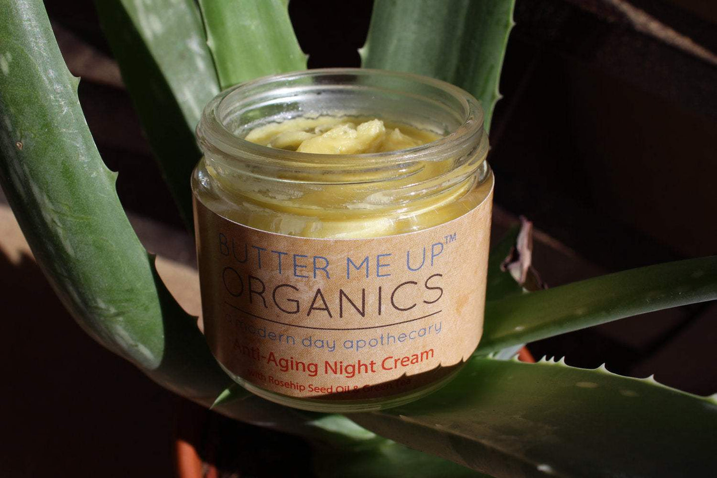 Anti Aging Night Cream Face Moisturizer Organic Green Tea - The Edible Petale Company