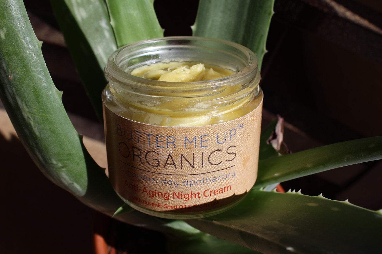 Anti Aging Night Cream Face Moisturizer Organic Green Tea - The Edible Petale Company