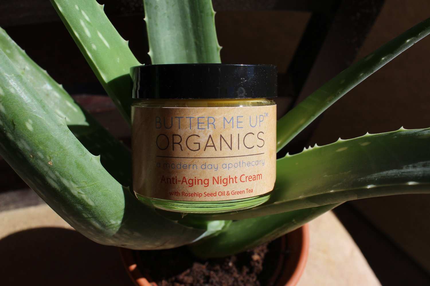 Anti Aging Night Cream Face Moisturizer Organic Green Tea - The Edible Petale Company