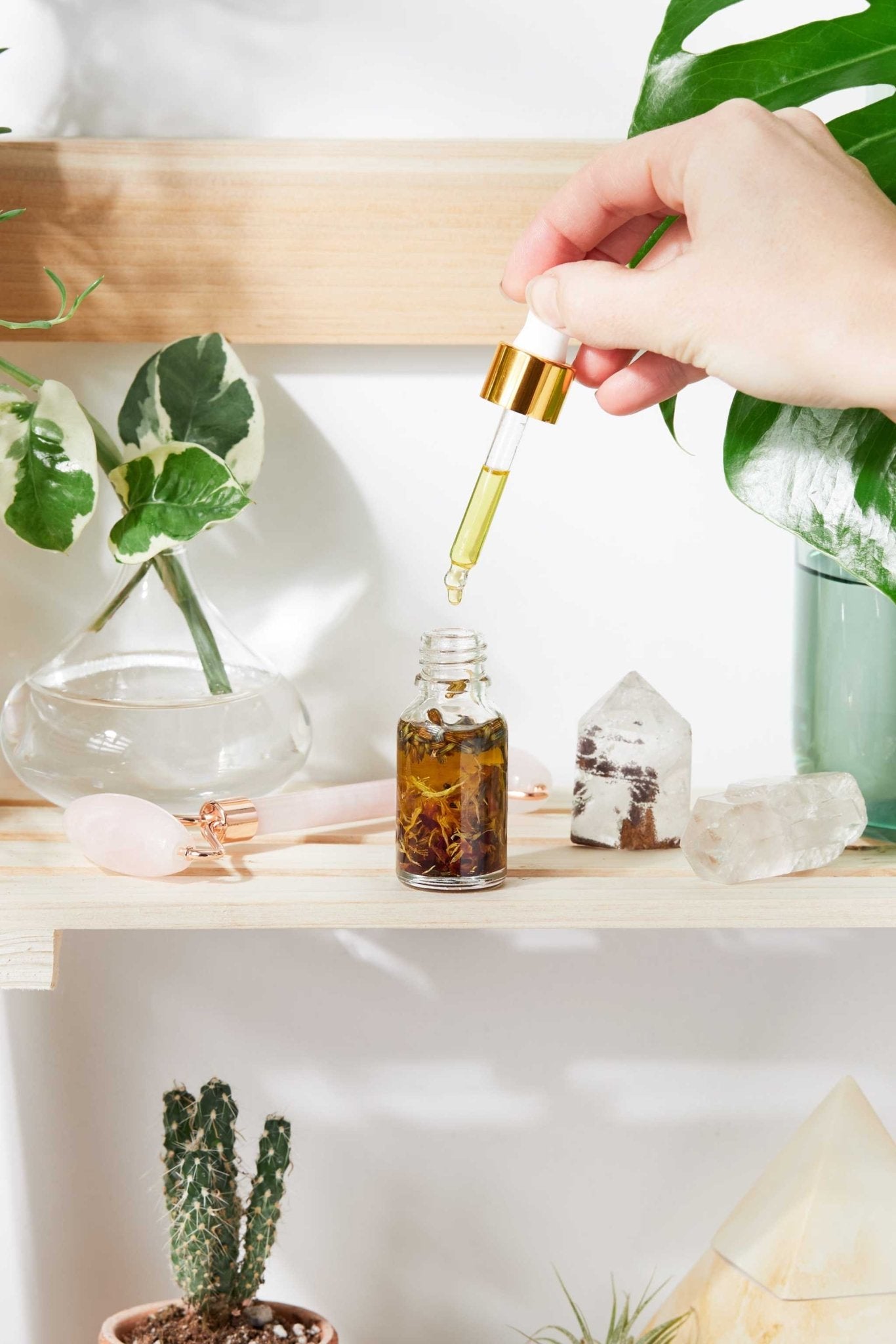 Anti Aging / Youth Serum / Facial Serum / Butter Me Up Organics / Botanical Serum / Herbal Oil / Fine Lines / Wrinkles / Face Oil Organic - The Edible Petale Company