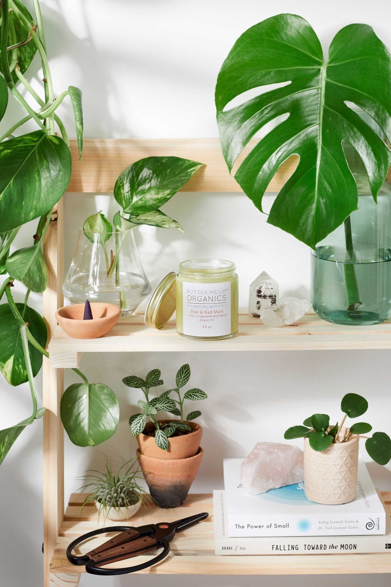 Hair & Nail Mask for long hair growth and healthy nails - The Edible Petale Company