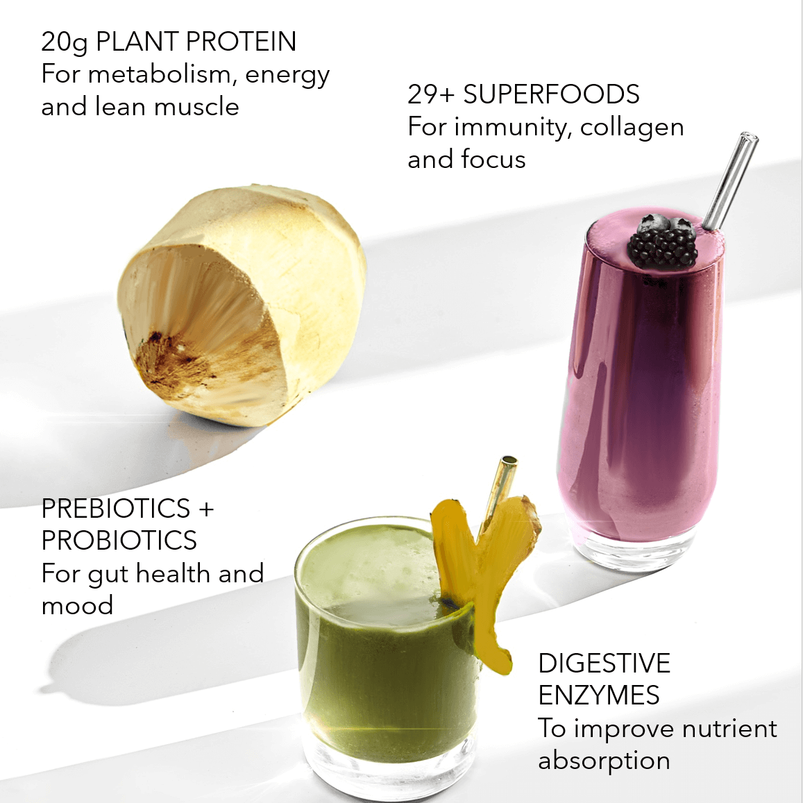 Organic plant protein smoothie mix with superfoods, prebiotics, probiotics, and digestive enzymes for energy, immunity, and gut health