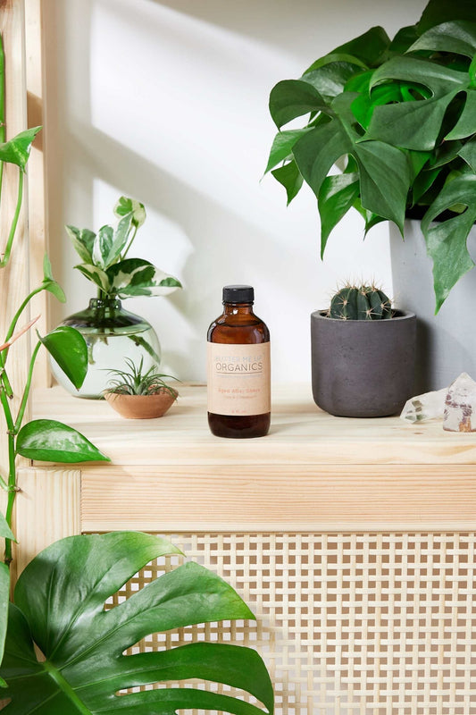 Natural Aged After Shave / Cologne Organic Bay Woodsy / Men’s Natural Organic After Shave - The Edible Petale Company