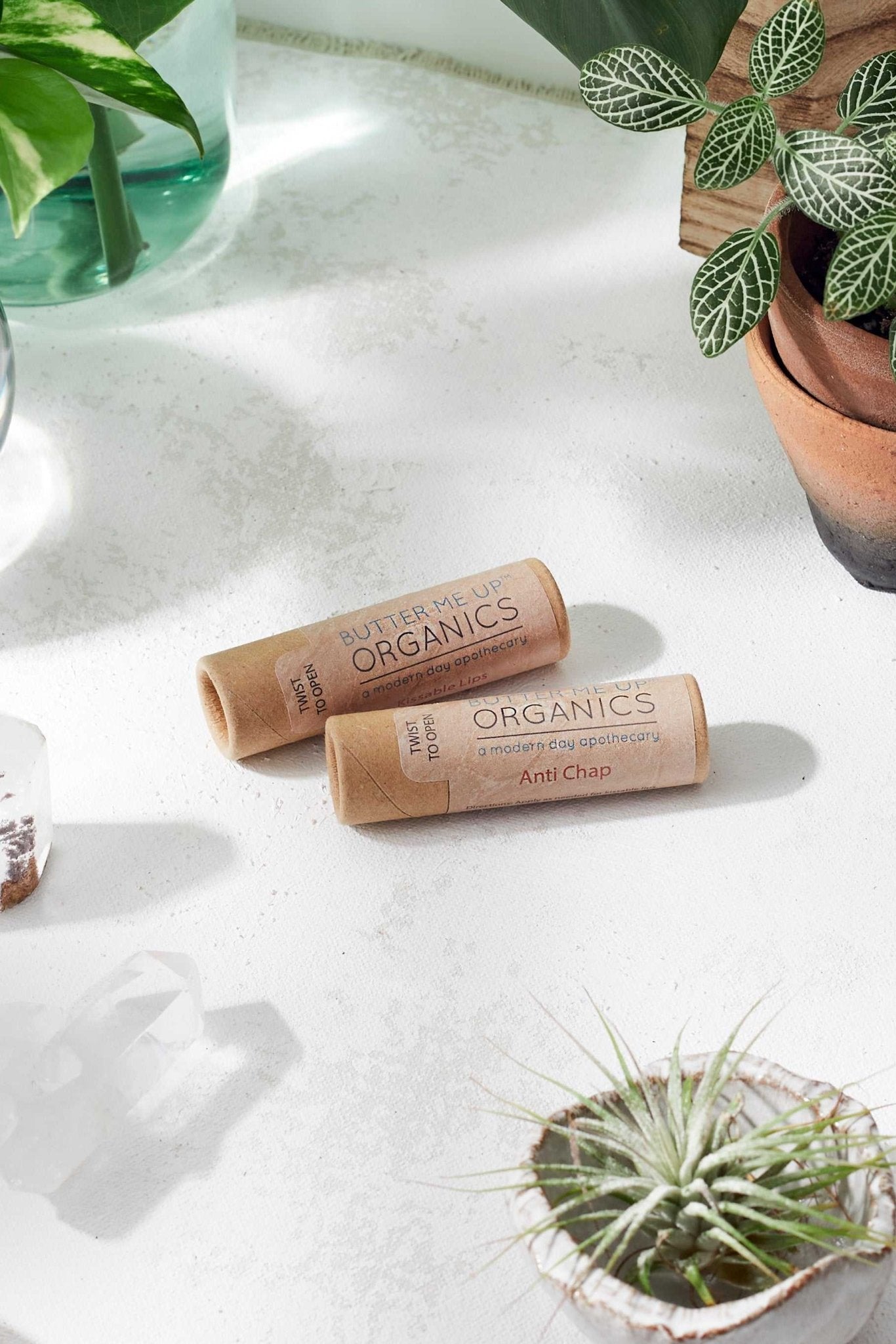 Organic Anti - Chap Lip Balm / Chapped Lips / Organic Lip Moisturizer / PAPERBOARD Tube - The Edible Petale Company