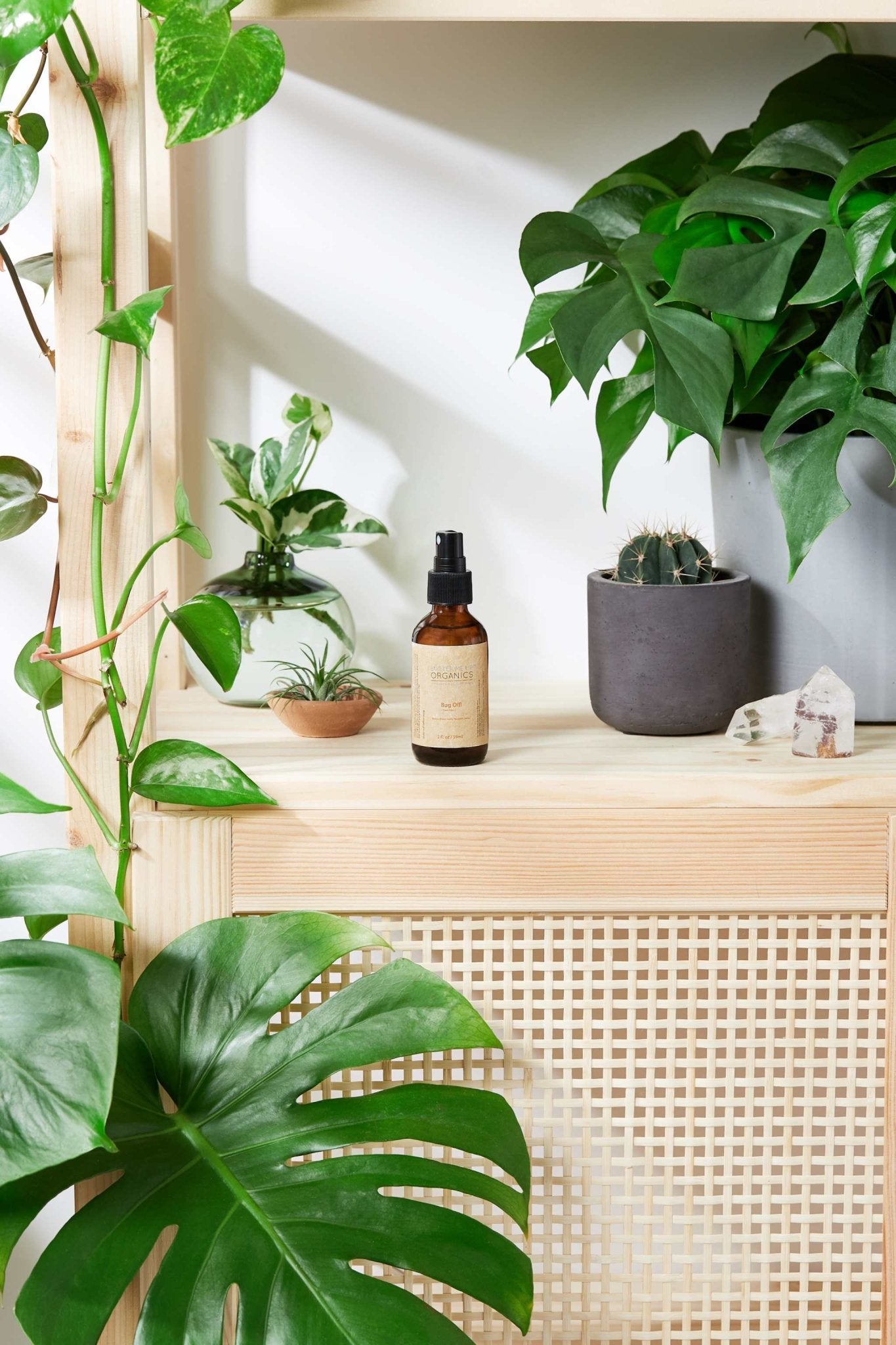 Organic Bug Spray / Mosquito Repellant / - The Edible Petale Company