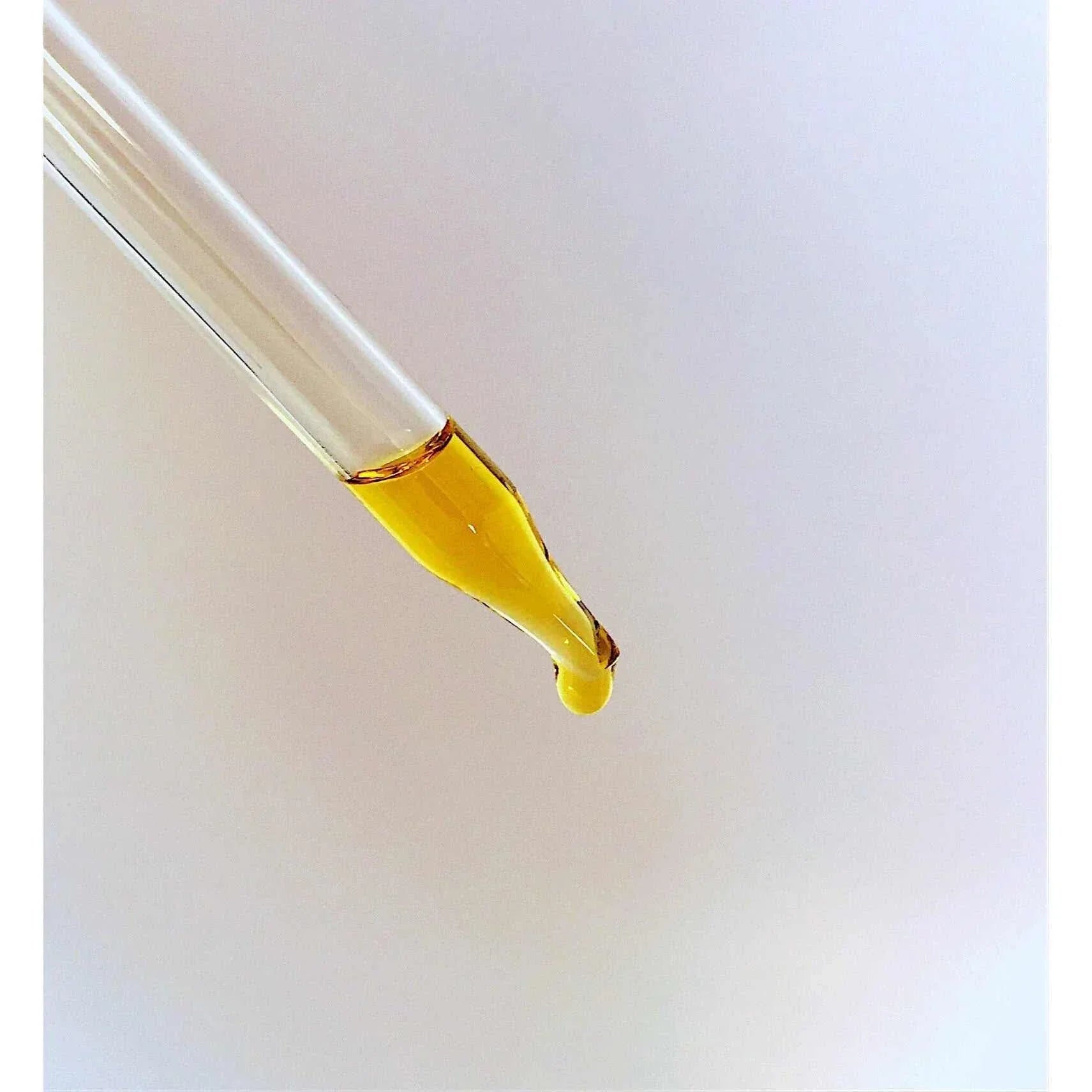 Organic Face & Eye Serum / Organic Facial Oil / Anti - Aging Serum / Organic Facial Serum / Natural Face Oil Butter Me Up Organics / - The Edible Petale Company