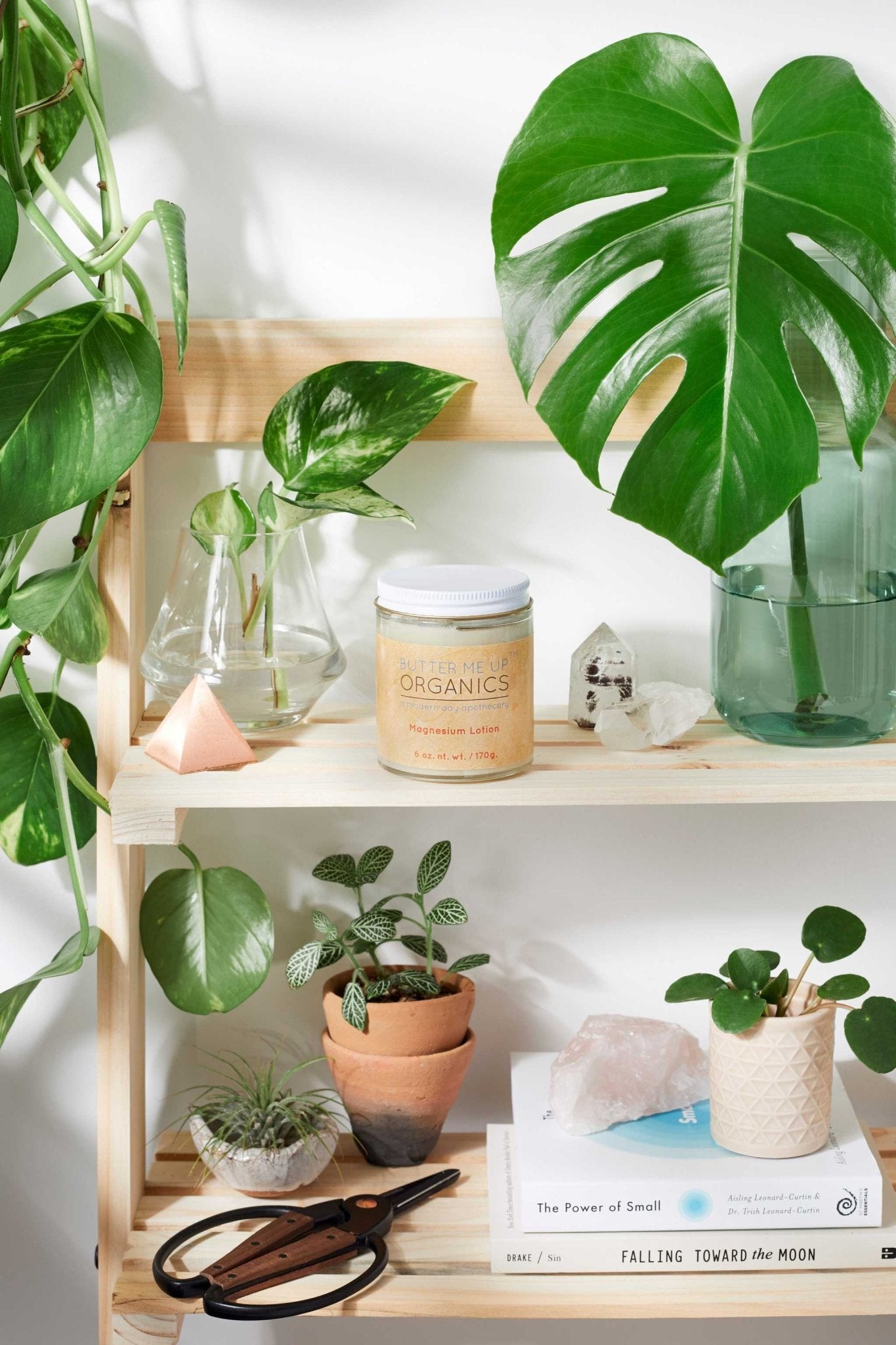 Organic Magnesium Lotion / Magnesium / Magnesium Cream / Magnesium Butter / Magnesium Body Butter / Magnesium Chloride / Magnesium Rub Balm - The Edible Petale Company