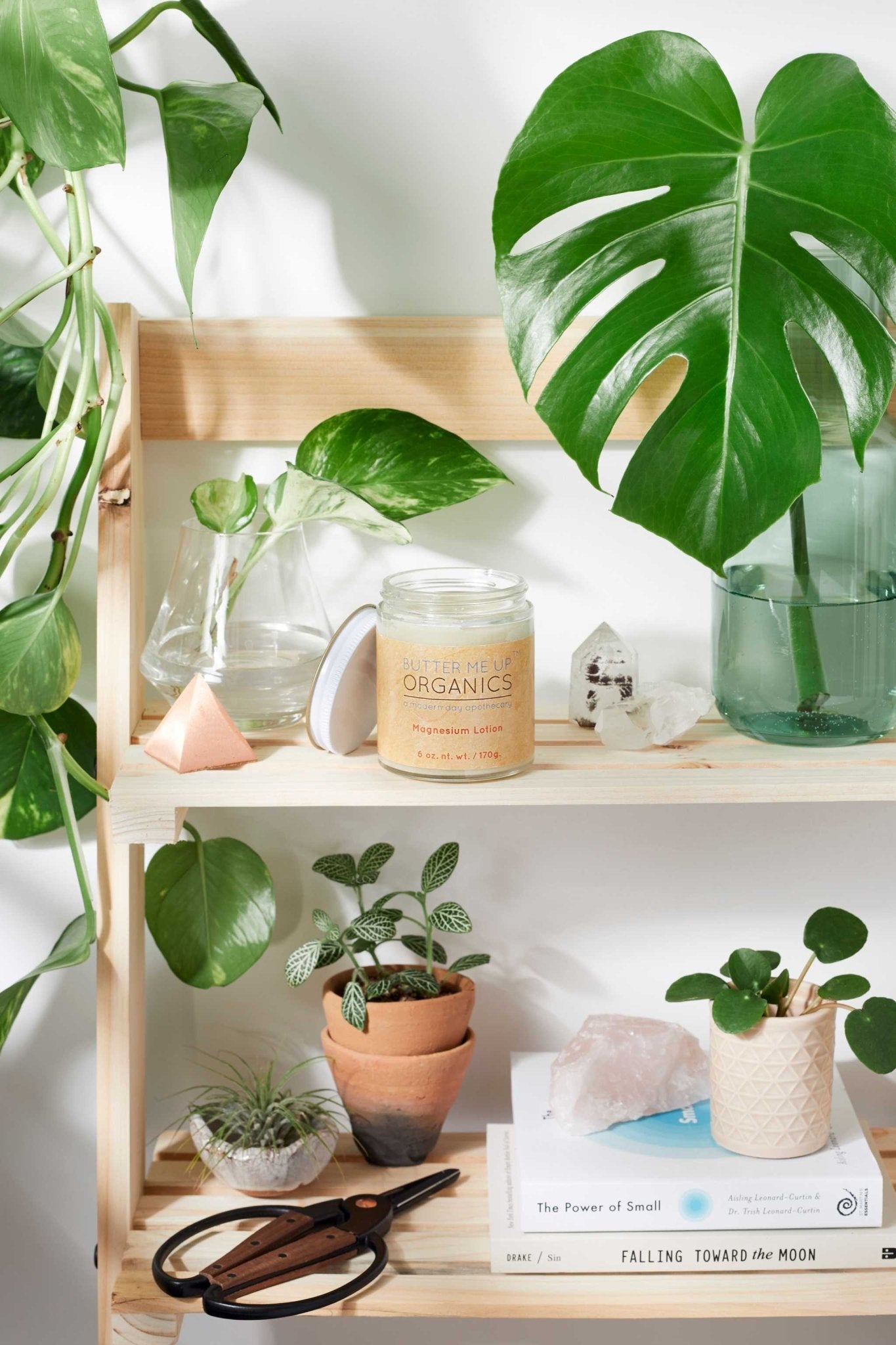 Organic Magnesium Lotion / Magnesium / Magnesium Cream / Magnesium Butter / Magnesium Body Butter / Magnesium Chloride / Magnesium Rub Balm - The Edible Petale Company