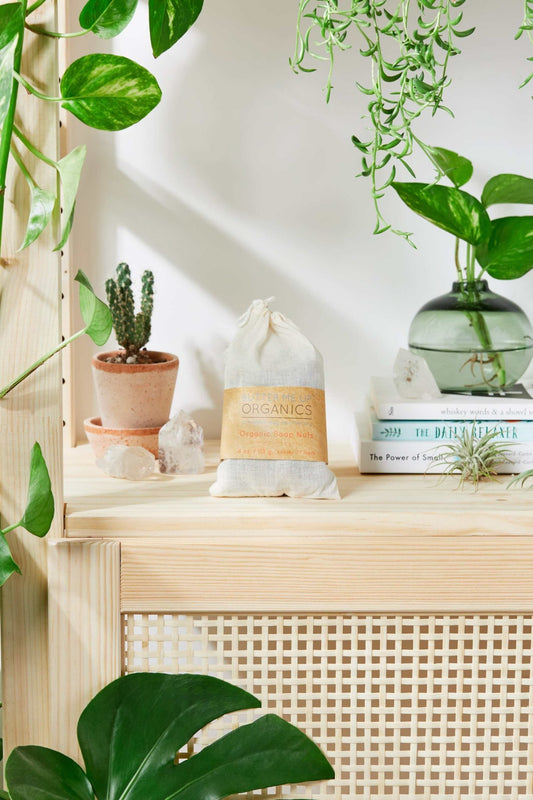 Organic Soap Nuts / All Natural Laundry Soap / Eco friendly - The Edible Petale Company