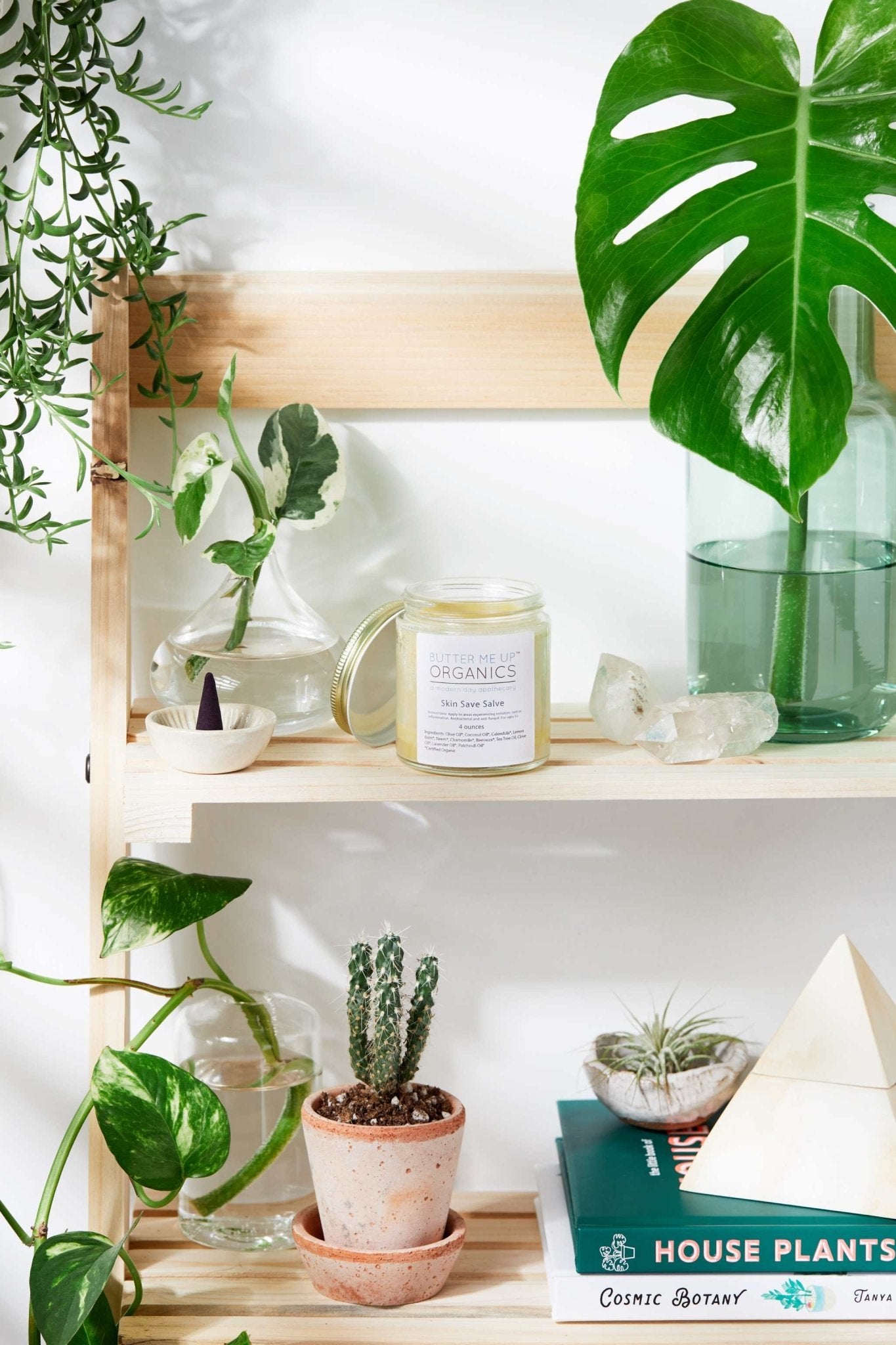 Skin Save Salve / Organic / Herbal Fungal Salve / Anti Fungal / Antibacterial - The Edible Petale Company