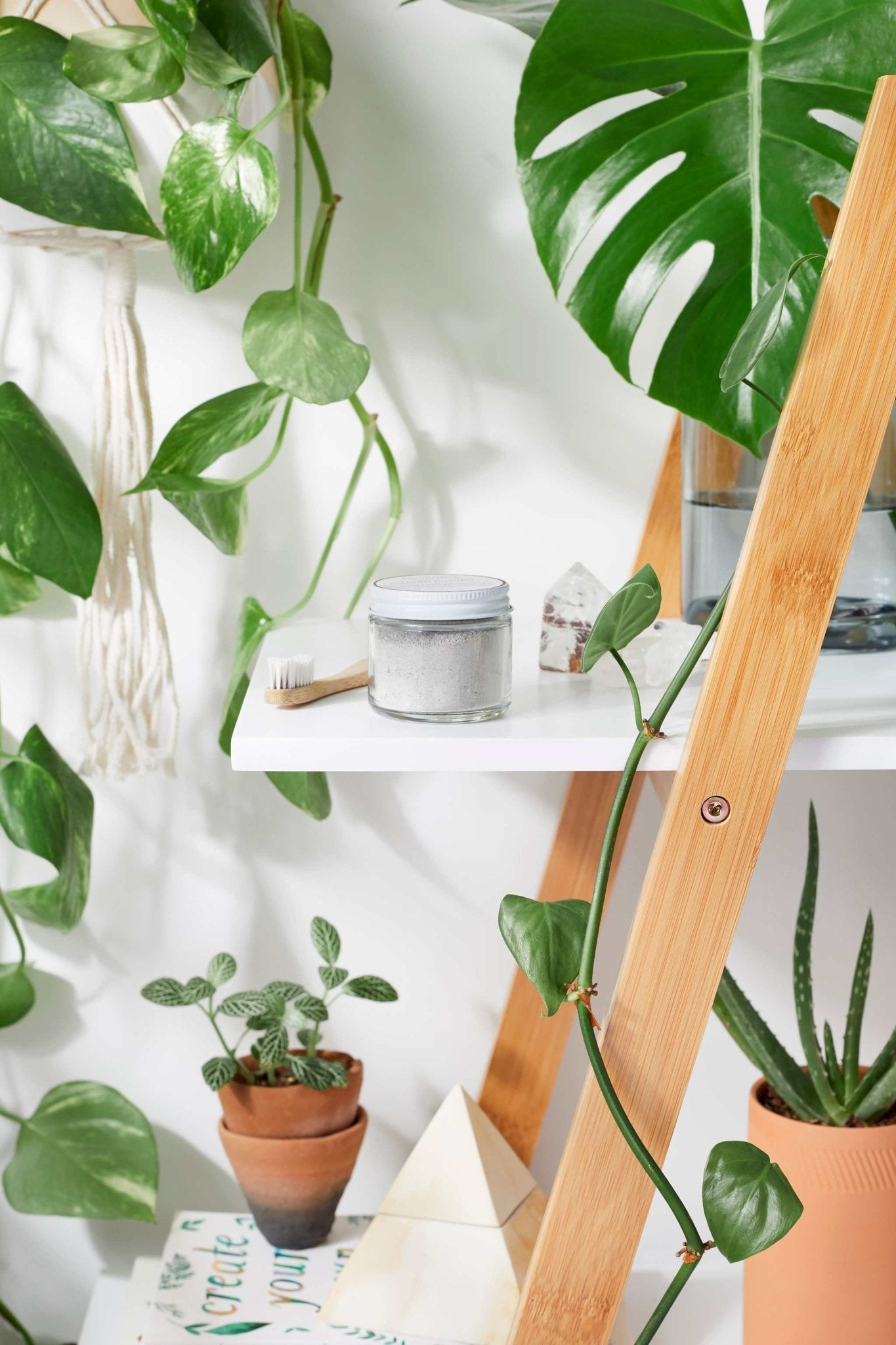 Tooth Powder / Toothpaste / Organic Tooth Powder / Organic Tooth Paste/ Organic Toothpaste / Clay Tooth Paste / Remineralizing Tooth Powder - The Edible Petale Company